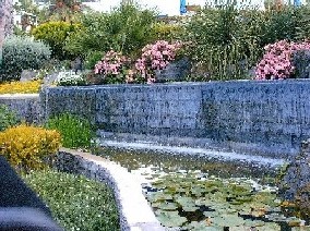 Ischia